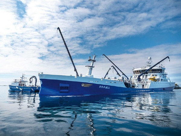 MARINE CRANES
